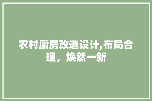 农村厨房改造设计,布局合理，焕然一新