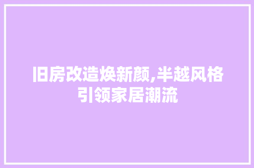 旧房改造焕新颜,半越风格引领家居潮流