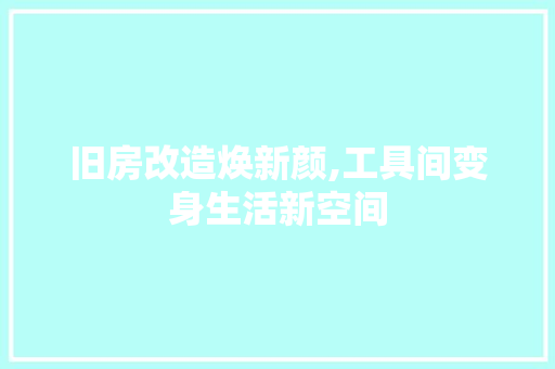 旧房改造焕新颜,工具间变身生活新空间 门窗装修