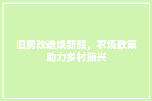 旧房改造焕新颜，农场政策助力乡村振兴 门窗装修