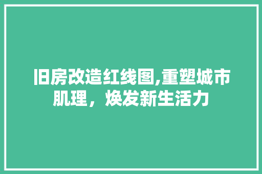 旧房改造红线图,重塑城市肌理，焕发新生活力 隔断设计