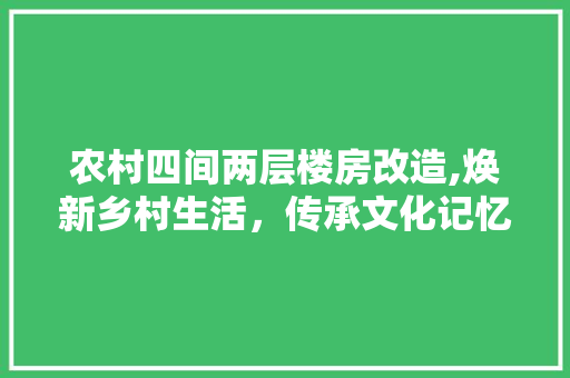 农村四间两层楼房改造,焕新乡村生活，传承文化记忆 建筑设计
