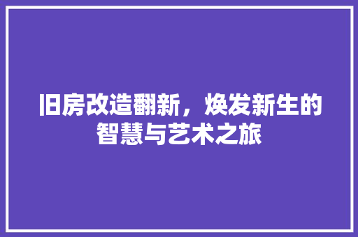 旧房改造翻新，焕发新生的智慧与艺术之旅 景观设计