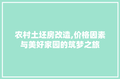 农村土坯房改造,价格因素与美好家园的筑梦之旅