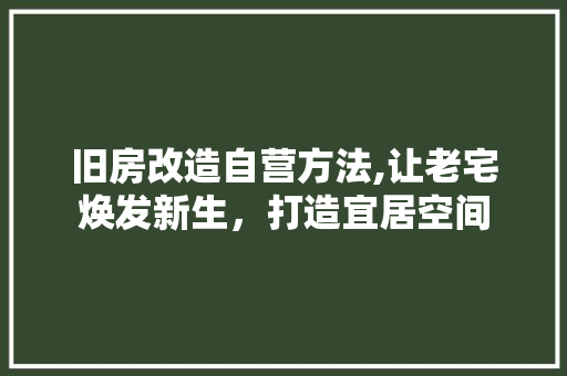 旧房改造自营方法,让老宅焕发新生，打造宜居空间 庭院装修