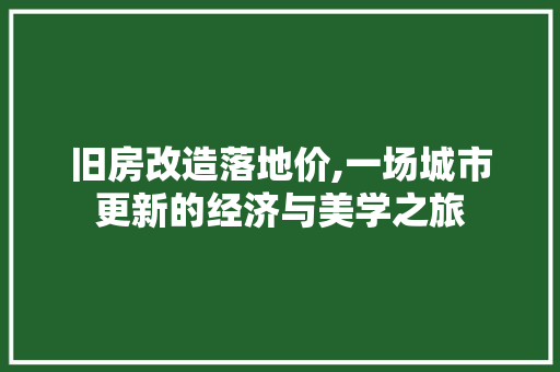 旧房改造落地价,一场城市更新的经济与美学之旅 装修材料