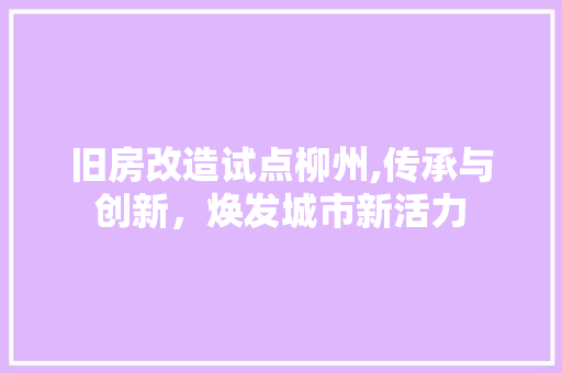 旧房改造试点柳州,传承与创新，焕发城市新活力 隔断设计