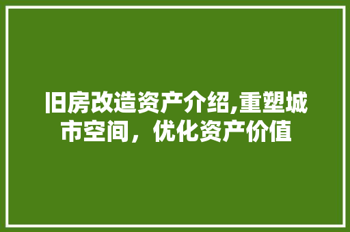 旧房改造资产介绍,重塑城市空间，优化资产价值 建筑设计