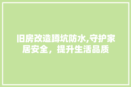 旧房改造蹲坑防水,守护家居安全，提升生活品质 墙面装饰