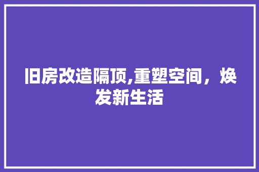 旧房改造隔顶,重塑空间，焕发新生活 庭院装修