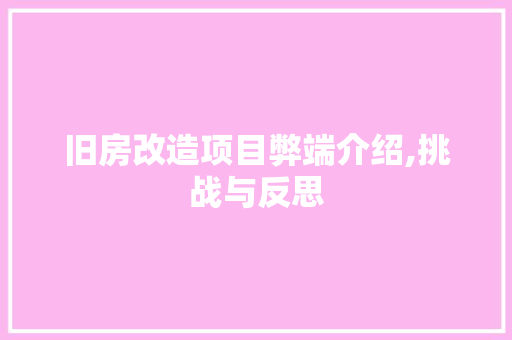 旧房改造项目弊端介绍,挑战与反思