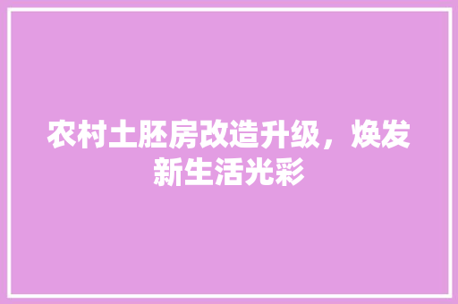农村土胚房改造升级，焕发新生活光彩