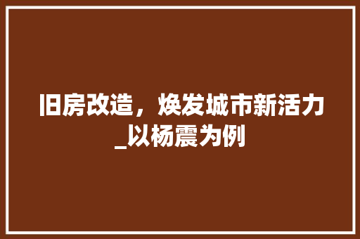 旧房改造，焕发城市新活力_以杨震为例