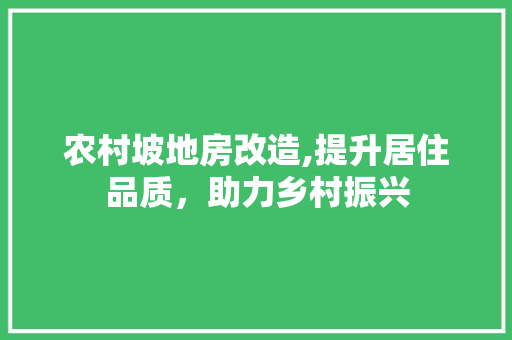 农村坡地房改造,提升居住品质，助力乡村振兴 装修材料