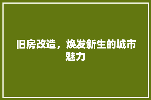 旧房改造，焕发新生的城市魅力