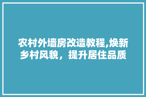 农村外墙房改造教程,焕新乡村风貌，提升居住品质