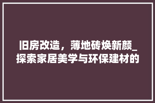 旧房改造，薄地砖焕新颜_探索家居美学与环保建材的完美融合 隔断设计