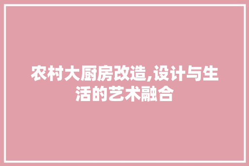 农村大厨房改造,设计与生活的艺术融合 隔断设计