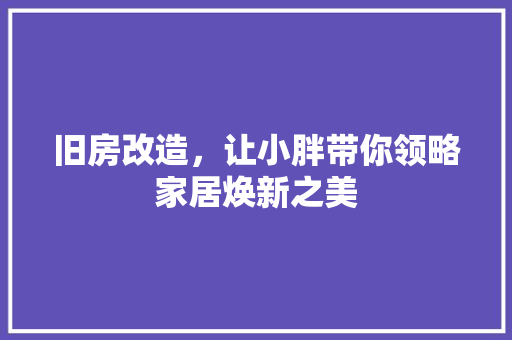旧房改造，让小胖带你领略家居焕新之美