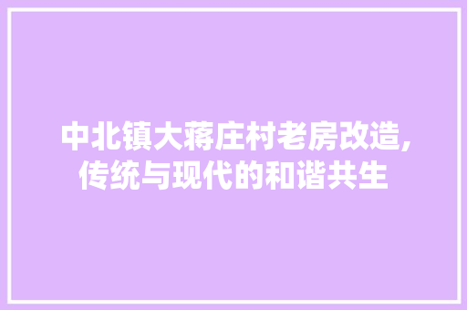 中北镇大蒋庄村老房改造,传统与现代的和谐共生
