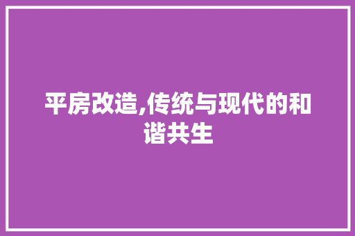 平房改造,传统与现代的和谐共生 装修材料