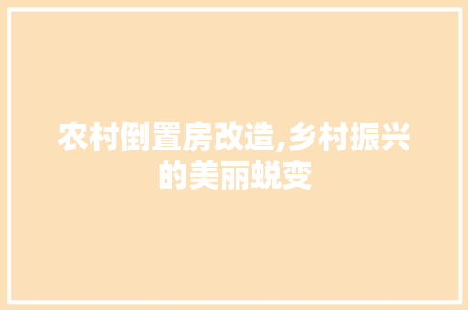 农村倒置房改造,乡村振兴的美丽蜕变 地面装修