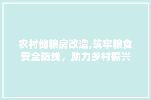 农村储粮房改造,筑牢粮食安全防线，助力乡村振兴