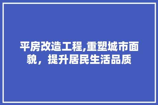 平房改造工程,重塑城市面貌，提升居民生活品质 装修材料