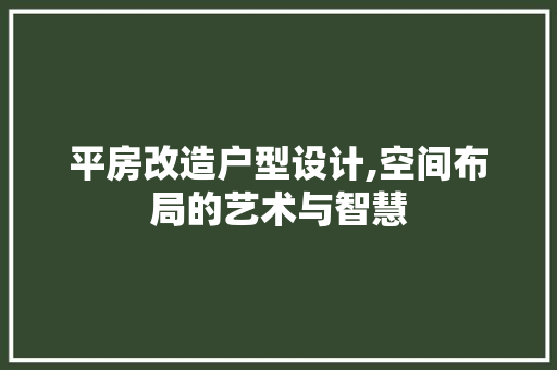 平房改造户型设计,空间布局的艺术与智慧 装修材料