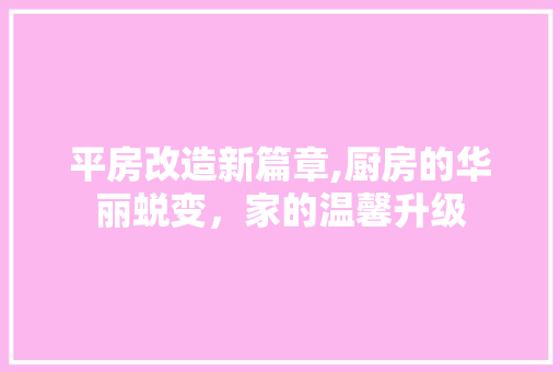 平房改造新篇章,厨房的华丽蜕变，家的温馨升级