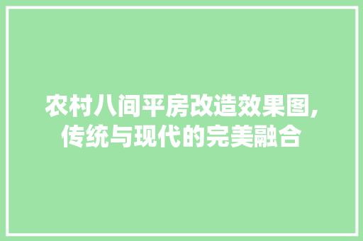 农村八间平房改造效果图,传统与现代的完美融合