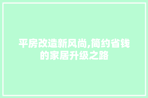 平房改造新风尚,简约省钱的家居升级之路 装修材料