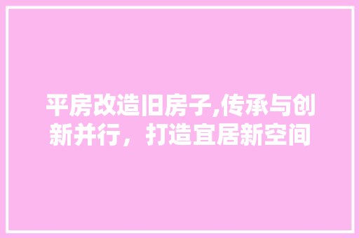 平房改造旧房子,传承与创新并行，打造宜居新空间 装修攻略