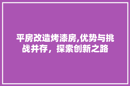 平房改造烤漆房,优势与挑战并存，探索创新之路 墙面装饰