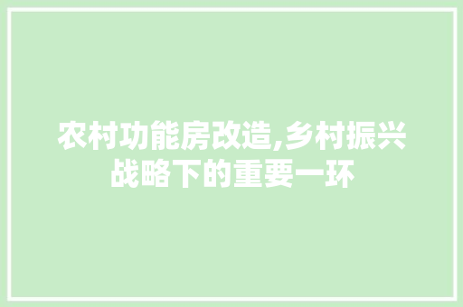 农村功能房改造,乡村振兴战略下的重要一环