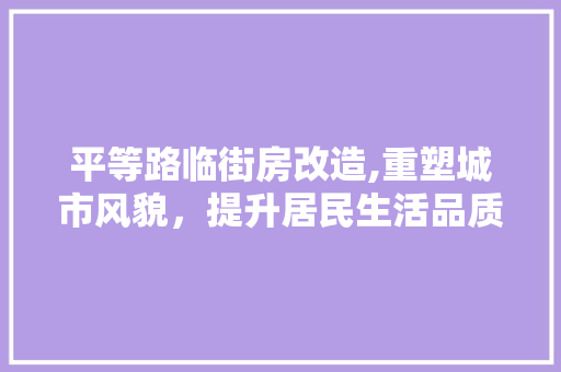 平等路临街房改造,重塑城市风貌，提升居民生活品质 地面装修