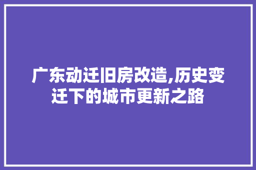 广东动迁旧房改造,历史变迁下的城市更新之路 建筑设计