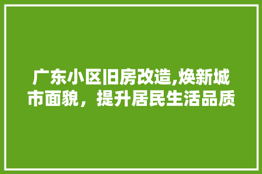 广东小区旧房改造,焕新城市面貌，提升居民生活品质