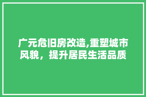 广元危旧房改造,重塑城市风貌，提升居民生活品质