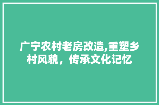 广宁农村老房改造,重塑乡村风貌，传承文化记忆 门窗装修