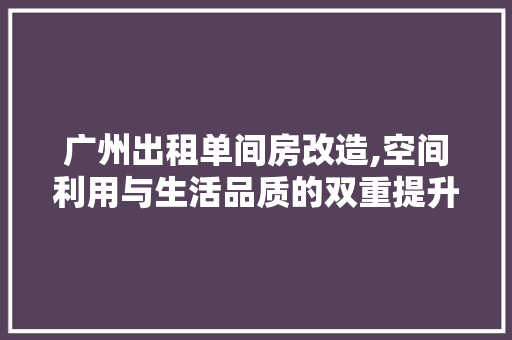 广州出租单间房改造,空间利用与生活品质的双重提升