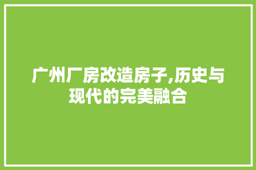 广州厂房改造房子,历史与现代的完美融合 墙面装饰