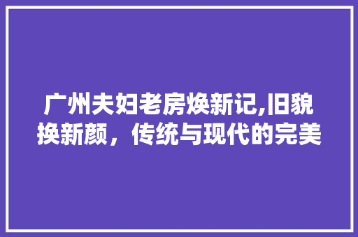 广州夫妇老房焕新记,旧貌换新颜，传统与现代的完美融合