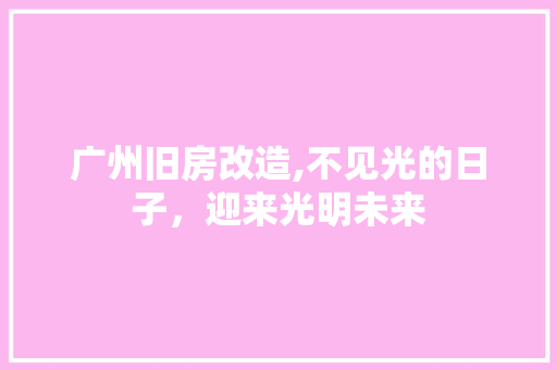广州旧房改造,不见光的日子，迎来光明未来 装修攻略