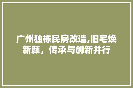广州独栋民房改造,旧宅焕新颜，传承与创新并行