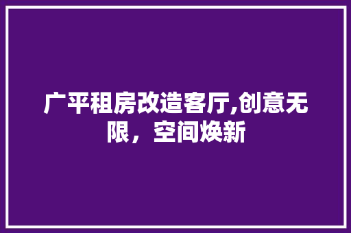 广平租房改造客厅,创意无限，空间焕新