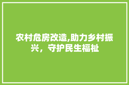 农村危房改造,助力乡村振兴，守护民生福祉