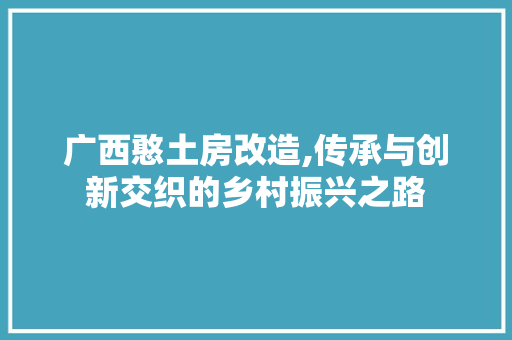 广西憨土房改造,传承与创新交织的乡村振兴之路