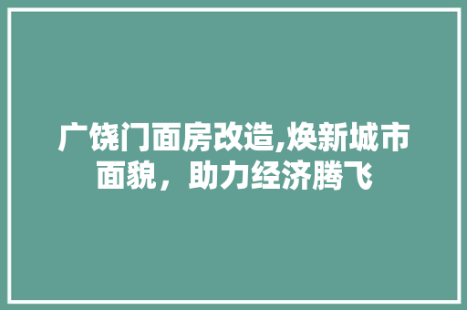 广饶门面房改造,焕新城市面貌，助力经济腾飞