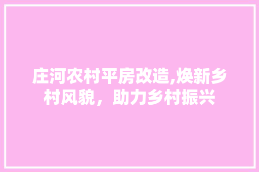 庄河农村平房改造,焕新乡村风貌，助力乡村振兴